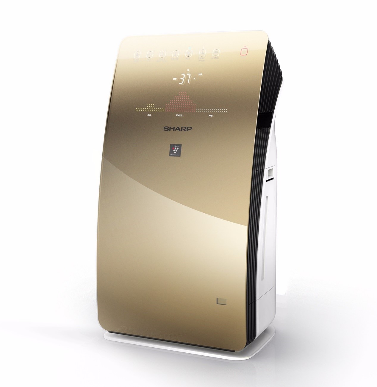 1562742727061805.jpg 11.jpg